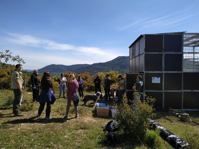 Vecinos del entorno visitan el jaulón de aclimatación de la zona de reintroducción de águila de Bonelli de Guirguillano (Navarra) antes de la llegada de los pollos.