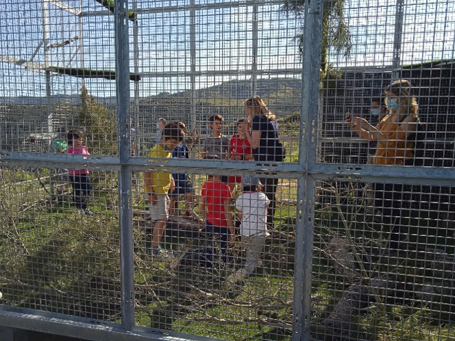 Varios niños de la zona conocen desde el interior la jaula-hacking que alojaría a las águilas de Bonelli.