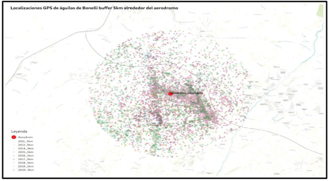 El seguimiento por GPS del águila de Bonelli y otras rapaces revela la amenaza del aeródromo de Chozas de Canales (Toledo)