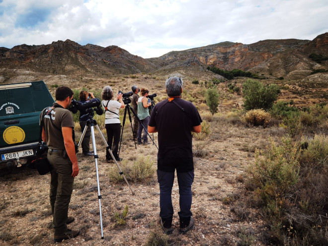 Técnicos riojanos y navarros en la zona de la ZEC “Sierra de Alcarama y Valle del Alhama” donde se ha asentado el águila de Bonelli "Bartullero".