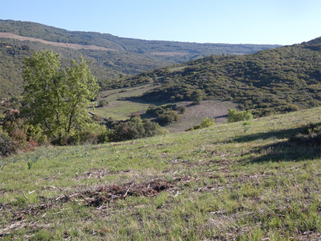 Parcelas desbrozadas en 2020 en Navarra bajo la cobertura del proyecto AQUILA a-LIFE para favorecer la presencia de presas del águila de Bonelli.