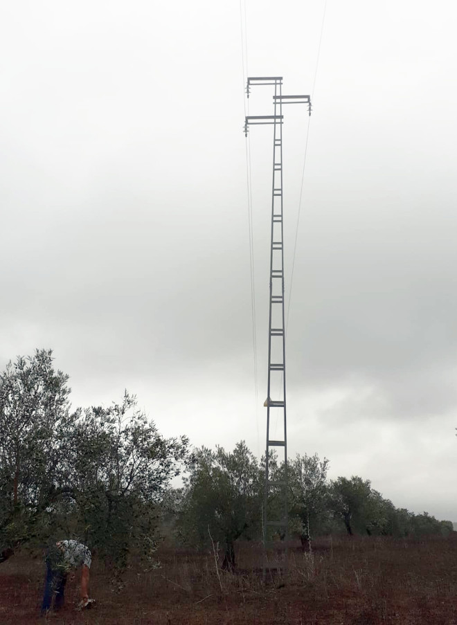 Apoyo eléctrico de diseño peligroso para las aves en el que se electrocutó "Montazo", en Utrera (Sevilla). Foto: Consejería de Agricultura, Ganadería, Pesca y Desarrollo Sostenible de Andalucía.