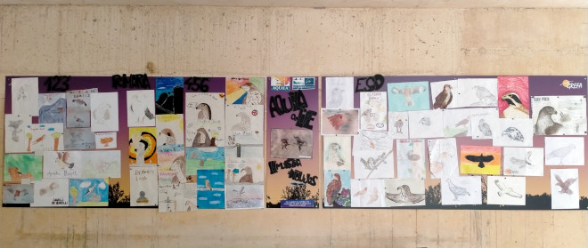 Mural con las obras ganadoras y finalistas en la tercera muestra artística del águila de Bonelli.