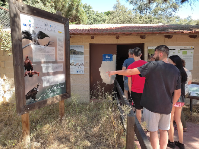 Varios asistentes a la Jornada de Puertas Abiertas y Día del Águila en GREFA entran en un recinto en el que pueden observar ejemplares de águila de Bonelli y de otras grandes rapaces irrecuperables para la vida en libertad.