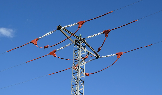 Apoyo peligroso para las aves tras la instalación de medidas anti-electrocución.