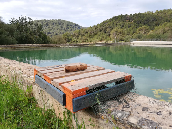 Típico estanque para riego del campo mallorquín, de paredes verticales, con una de las plataformas para evitar ahogamientos colocadas por AQUILA a-LIFE. Foto: FNP/AQUILA a-LIFE.