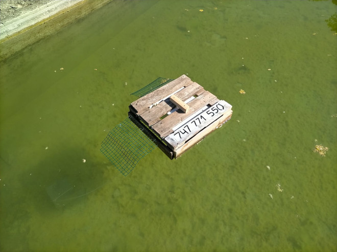 Plataforma salvapájaros del modelo hecho con palets, una vez colocada en una alberca para riego de Mallorca. En este caso no está atada ni anclada al fondo. Foto: FNP/AQUILA a-LIFE).