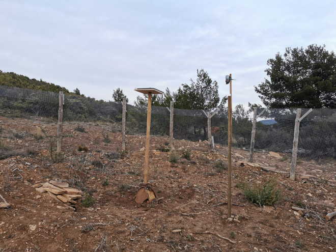 Posadero para el águila de Bonelli y cámara de fototrampeo para evaluar la eficacia del PAS