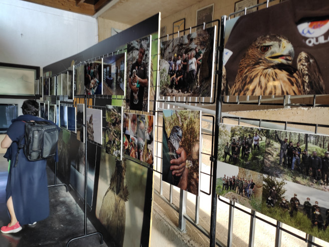  Exposición de fotografías sobre el águila de Bonelli y el proyecto AQUILA a-LIFE, montada con motivo del congreso.